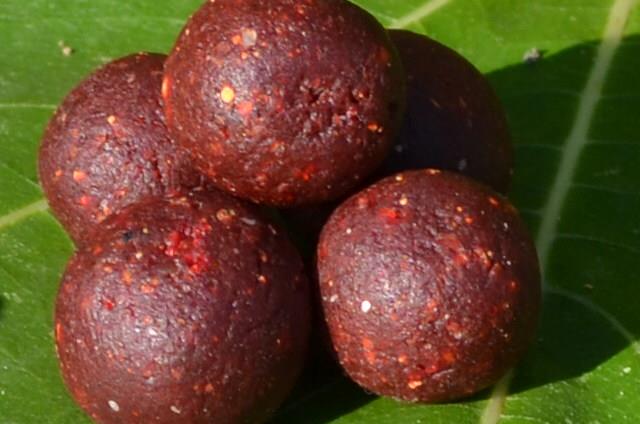 Cips Baits 2015 - csc1686.JPG